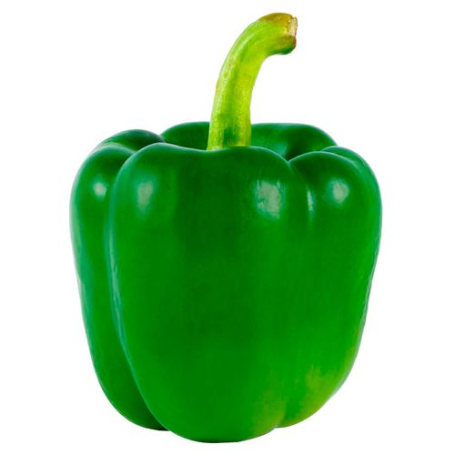 3029