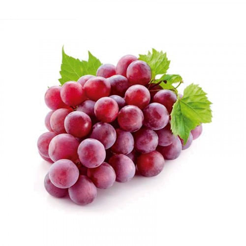 6693