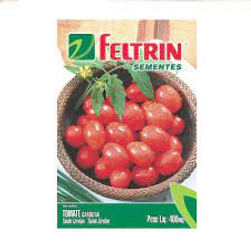 7896061731617 7896061731617