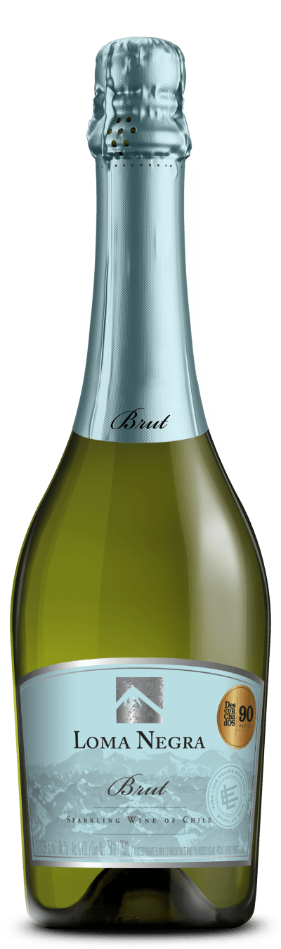 Espumante Branco Loma Negra Brut Chardonnay 750ml