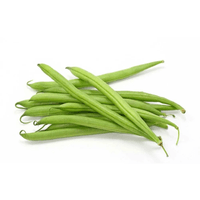 2304