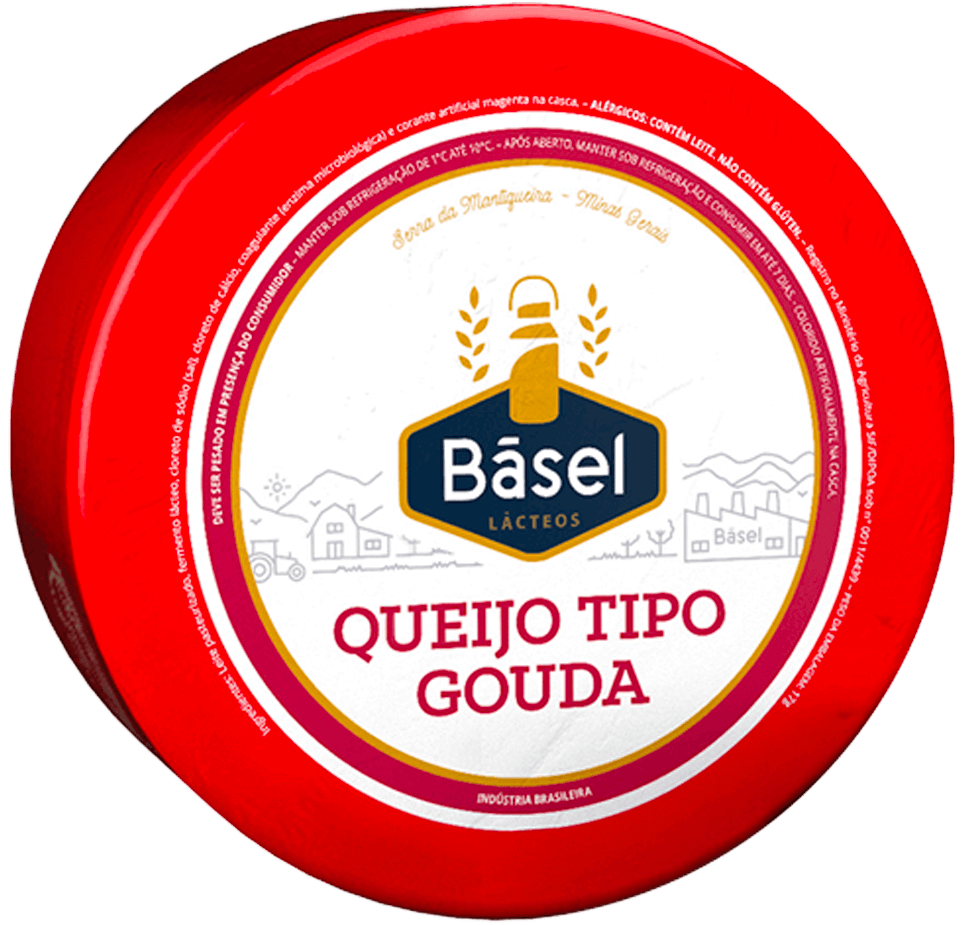 QUEIJO TIPO GOUDA BASEL SANDUICHE FATIADO BANDEJA 300G