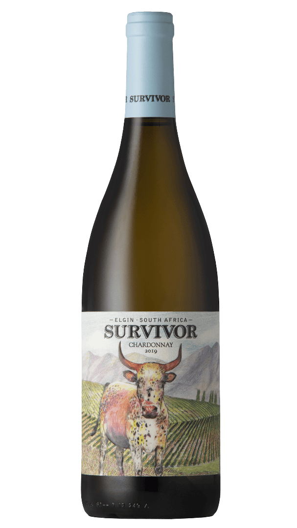 VINHO BRANCO SUL AFRICANO SURVIVOR CHARDONNAY 750ML