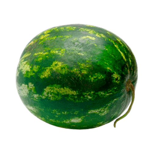 MELANCIA-INTEIRA